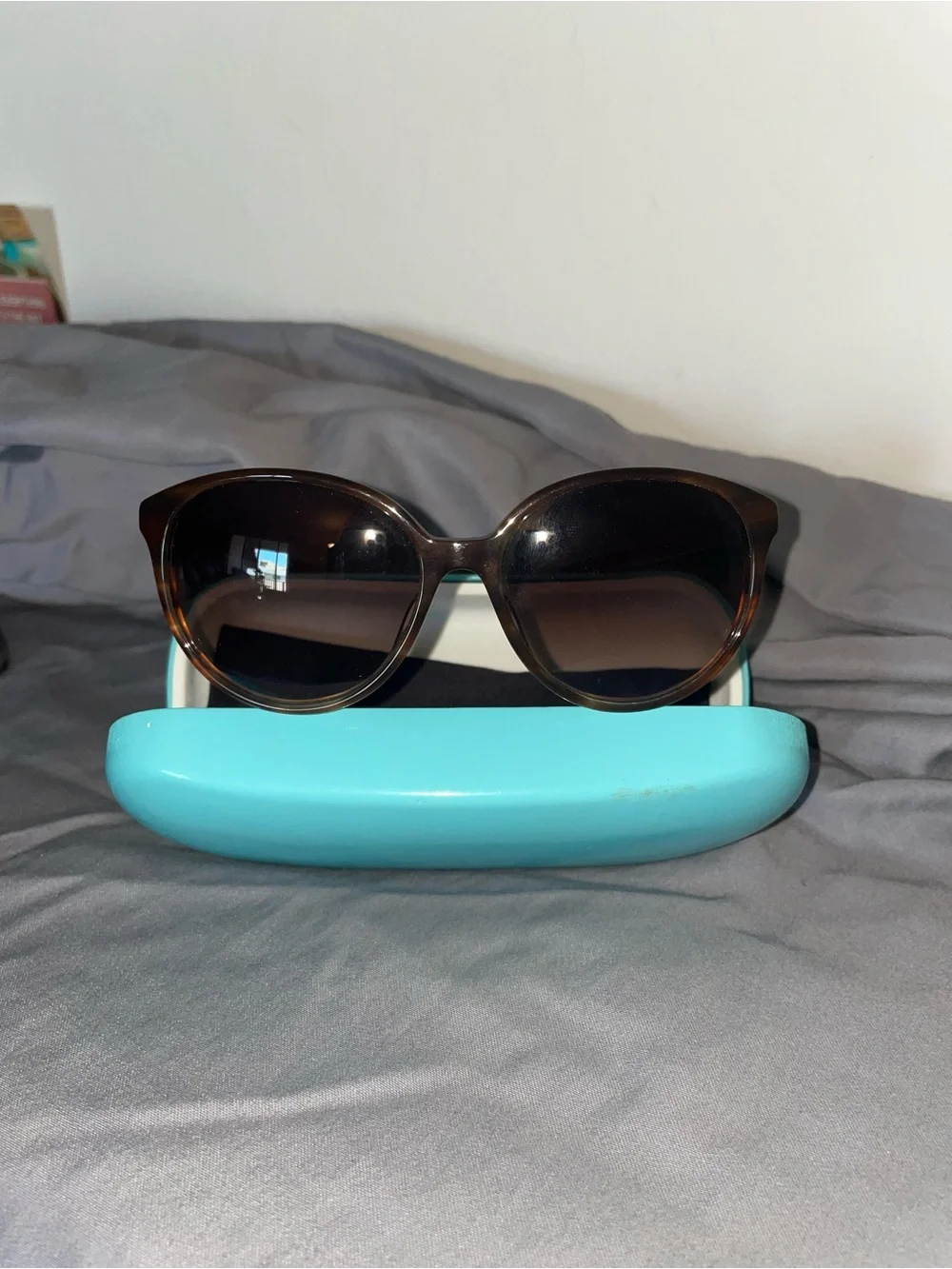 Fendi Brown Gradient Cat-Eye Sunglasses